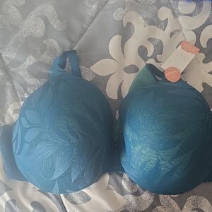 Elegant Blue Bra